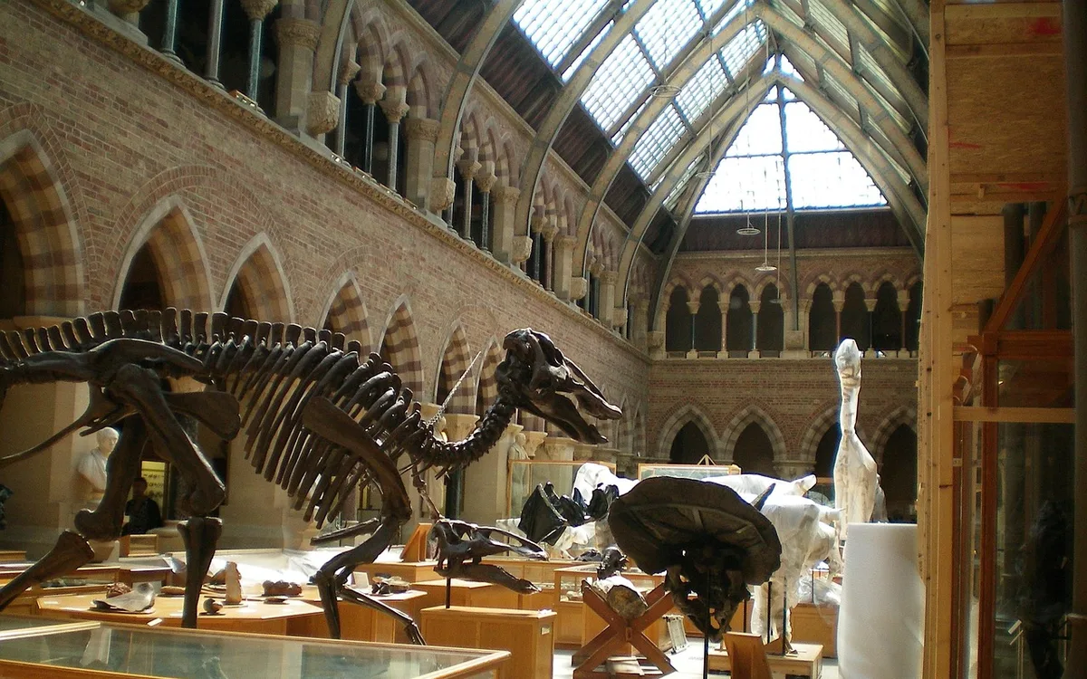 Jak połączyć muzeum ze spacerem po centrum?